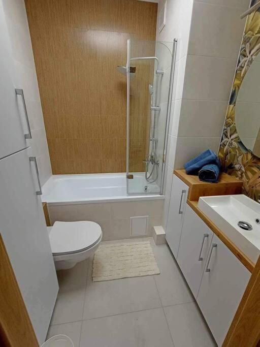 Apartament Podgorna 19 Torun Exterior foto