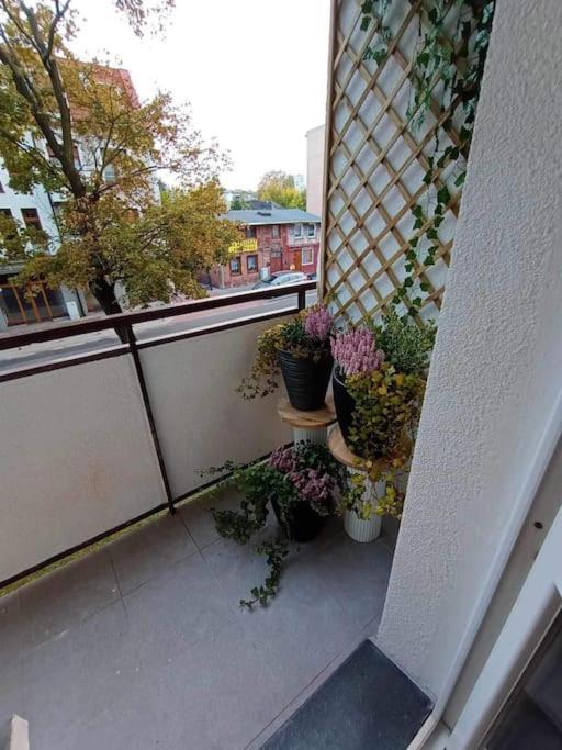 Apartament Podgorna 19 Torun Exterior foto